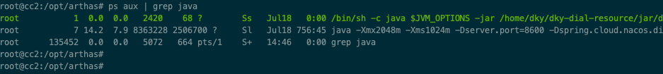 arthas-java-pid.png